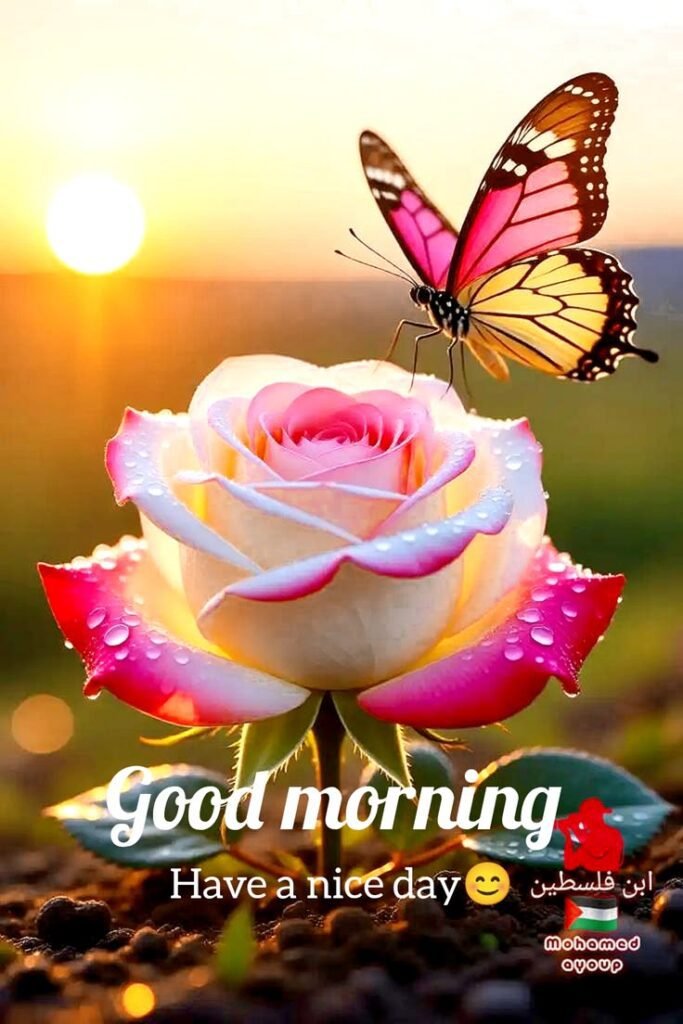 flower good morning images, beautiful good morning flowers, good morning flower photos, flower good morning pics, fresh flower good morning images, good morning wallpaper flowers, morning flower images, good morning rose images, good morning flower pictures, flower morning wishes
