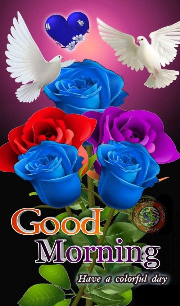 flower good morning images, beautiful good morning flowers, good morning flower photos, flower good morning pics, fresh flower good morning images, good morning wallpaper flowers, morning flower images, good morning rose images, good morning flower pictures, flower morning wishes